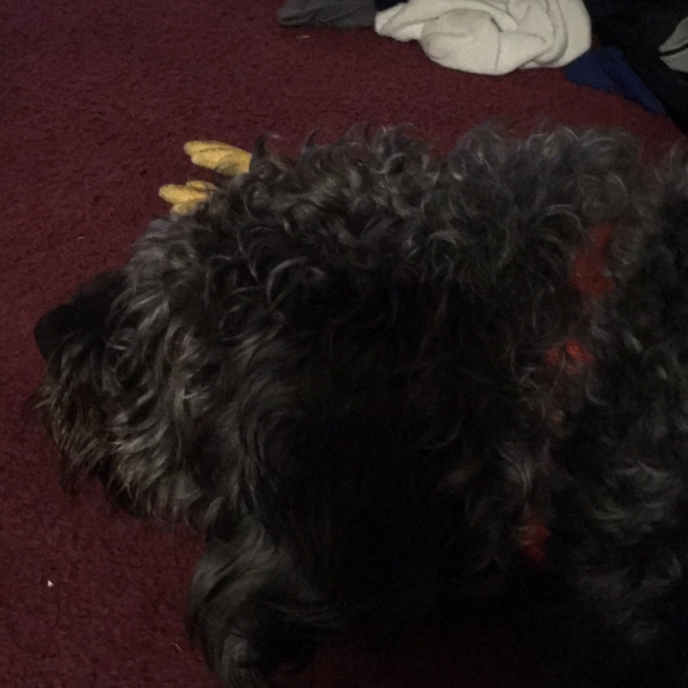 Meet your Posher, Monique